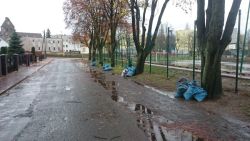 sprzątanie liści na placu Szarych Szeregów